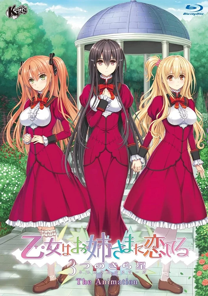 Девушка влюбилась в старшую сестру: Три мерцающие звезды постер